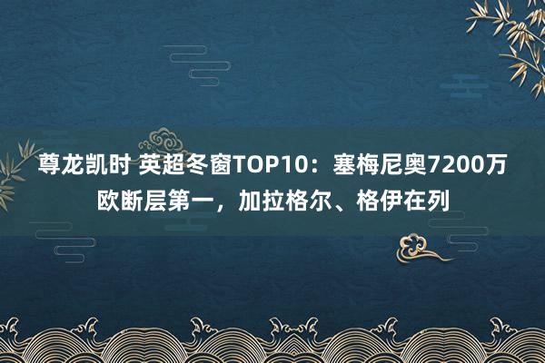 尊龙凯时 英超冬窗TOP10：塞梅尼奥7200万欧断层第一，加拉格尔、格伊在列