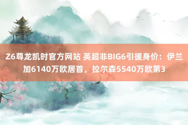 Z6尊龙凯时官方网站 英超非BIG6引援身价：伊兰加6140万欧居首，拉尔森5540万欧第3