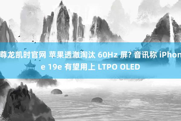 尊龙凯时官网 苹果透澈淘汰 60Hz 屏? 音讯称 iPhone 19e 有望用上 LTPO OLED