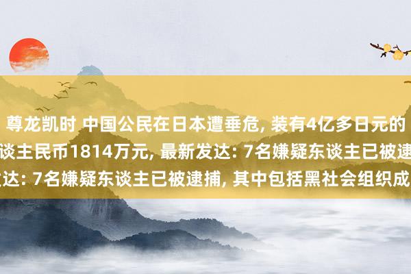 尊龙凯时 中国公民在日本遭垂危, 装有4亿多日元的行李箱被劫走, 约合东谈主民币1814万元, 最新发达: 7名嫌疑东谈主已被逮捕, 其中包括黑社会组织成员