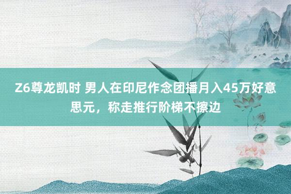 Z6尊龙凯时 男人在印尼作念团播月入45万好意思元，称走推行阶梯不擦边