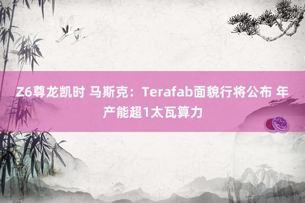 Z6尊龙凯时 马斯克：Terafab面貌行将公布 年产能超1太瓦算力