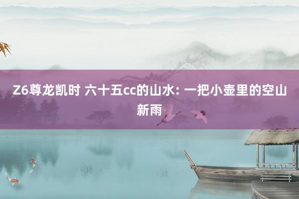 Z6尊龙凯时 六十五cc的山水: 一把小壶里的空山新雨