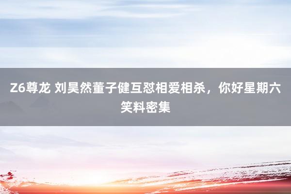 Z6尊龙 刘昊然董子健互怼相爱相杀，你好星期六笑料密集