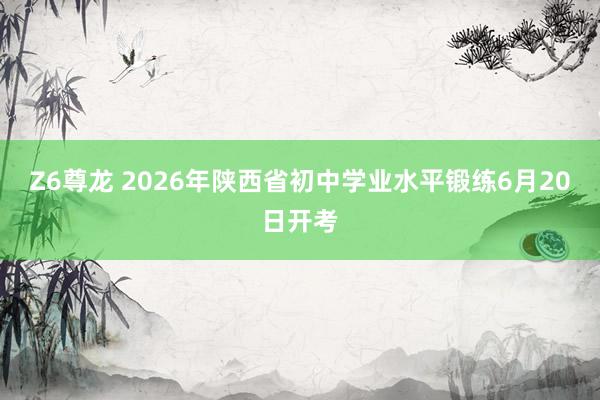 Z6尊龙 2026年陕西省初中学业水平锻练6月20日开考