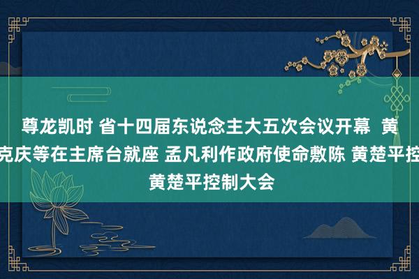尊龙凯时 省十四届东说念主大五次会议开幕  黄坤明林克庆等在主席台就座 孟凡利作政府使命敷陈 黄楚平控制大会