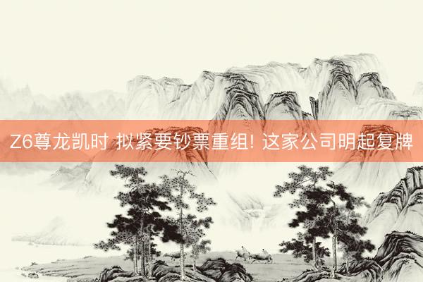 Z6尊龙凯时 拟紧要钞票重组! 这家公司明起复牌