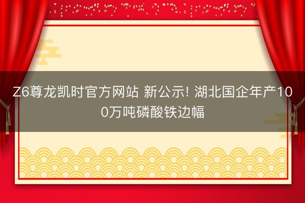 Z6尊龙凯时官方网站 新公示! 湖北国企年产100万吨磷酸铁边幅