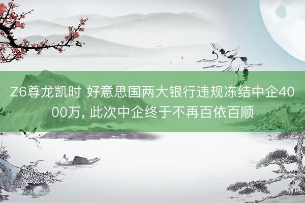 Z6尊龙凯时 好意思国两大银行违规冻结中企4000万， 此次中企终于不再百依百顺
