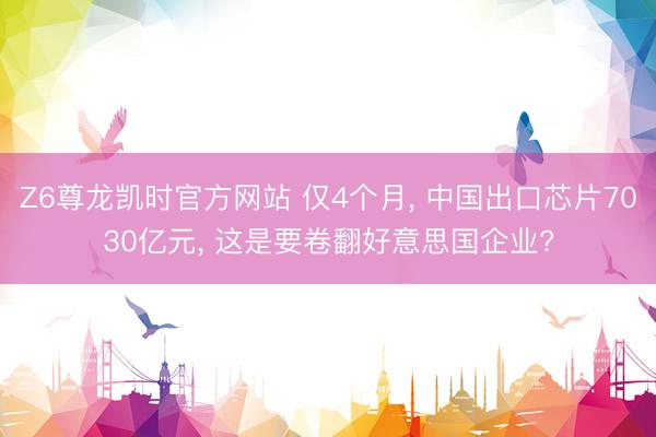 Z6尊龙凯时官方网站 仅4个月， 中国出口芯片7030亿元， 这是要卷翻好意思国企业?