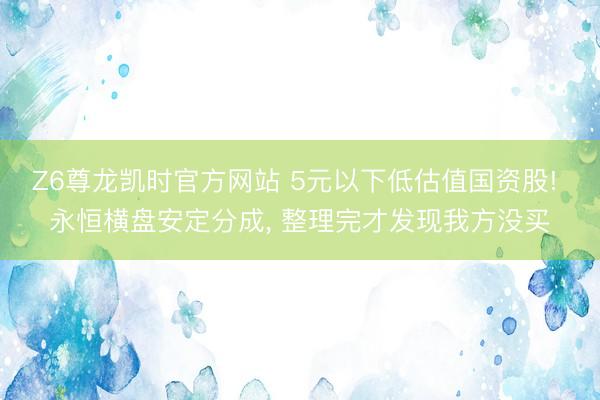 Z6尊龙凯时官方网站 5元以下低估值国资股! 永恒横盘安定分成， 整理完才发现我方没买