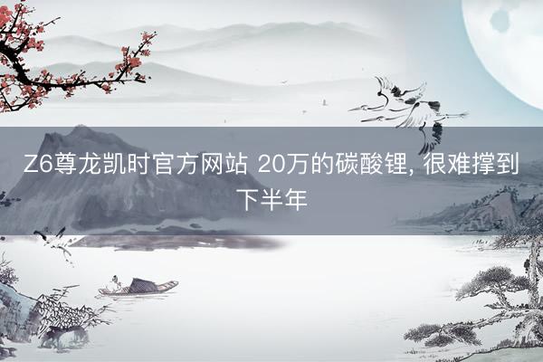 Z6尊龙凯时官方网站 20万的碳酸锂， 很难撑到下半年