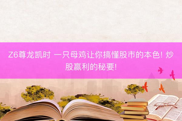 Z6尊龙凯时 一只母鸡让你搞懂股市的本色! 炒股赢利的秘要!