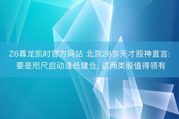 Z6尊龙凯时官方网站 北京28岁天才股神直言: 要是咫尺启动逢低建仓， 这两类股值得领有