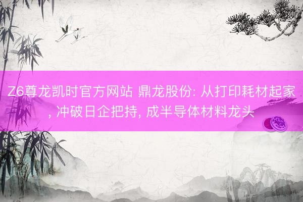 Z6尊龙凯时官方网站 鼎龙股份: 从打印耗材起家， 冲破日企把持， 成半导体材料龙头