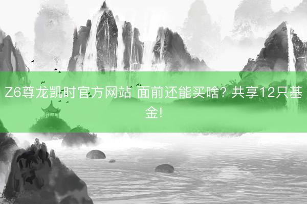 Z6尊龙凯时官方网站 面前还能买啥? 共享12只基金!