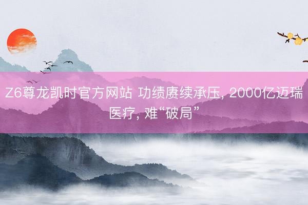 Z6尊龙凯时官方网站 功绩赓续承压， 2000亿迈瑞医疗， 难“破局”