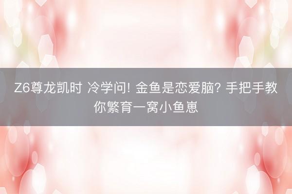 Z6尊龙凯时 冷学问! 金鱼是恋爱脑? 手把手教你繁育一窝小鱼崽