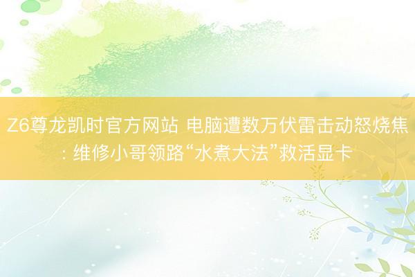 Z6尊龙凯时官方网站 电脑遭数万伏雷击动怒烧焦: 维修小哥领路“水煮大法”救活显卡
