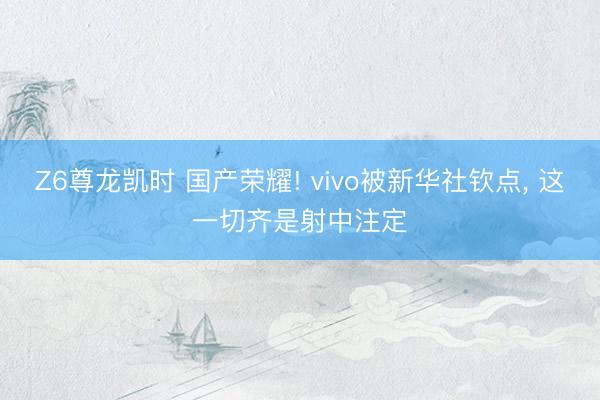 Z6尊龙凯时 国产荣耀! vivo被新华社钦点， 这一切齐是射中注定