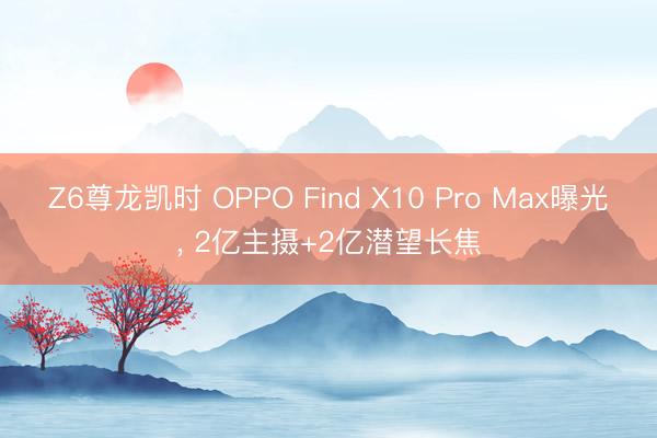 Z6尊龙凯时 OPPO Find X10 Pro Max曝光， 2亿主摄+2亿潜望长焦