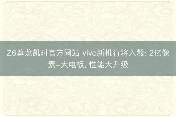 Z6尊龙凯时官方网站 vivo新机行将入彀: 2亿像素+大电板, 性能大升级