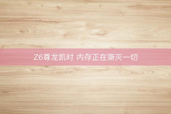 Z6尊龙凯时 内存正在澌灭一切