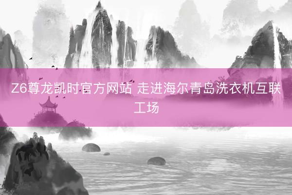 Z6尊龙凯时官方网站 走进海尔青岛洗衣机互联工场