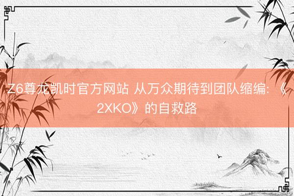 Z6尊龙凯时官方网站 从万众期待到团队缩编: 《2XKO》的自救路