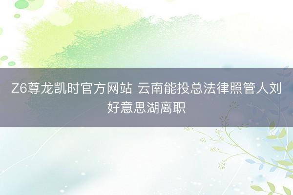 Z6尊龙凯时官方网站 云南能投总法律照管人刘好意思湖离职