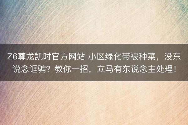 Z6尊龙凯时官方网站 小区绿化带被种菜,没东说念诓骗?教你一招,立马有东说念主处理!