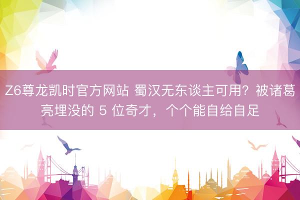 Z6尊龙凯时官方网站 蜀汉无东谈主可用？被诸葛亮埋没的 5 位奇才，个个能自给自足