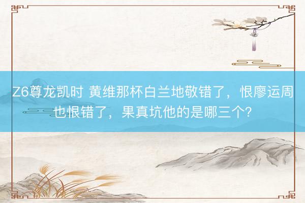 Z6尊龙凯时 黄维那杯白兰地敬错了，恨廖运周也恨错了，果真坑他的是哪三个？