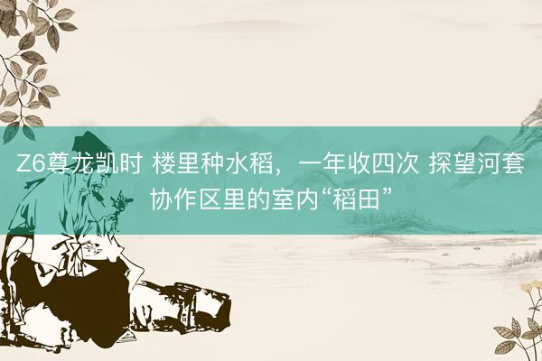 Z6尊龙凯时 楼里种水稻,一年收四次 探望河套协作区里的室内“稻田”