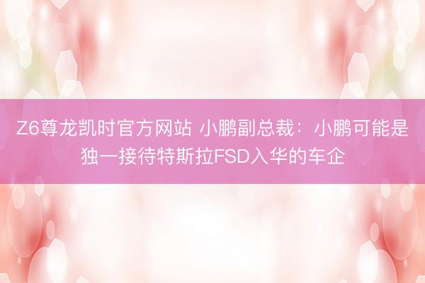 Z6尊龙凯时官方网站 小鹏副总裁:小鹏可能是独一接待特斯拉FSD入华的车企