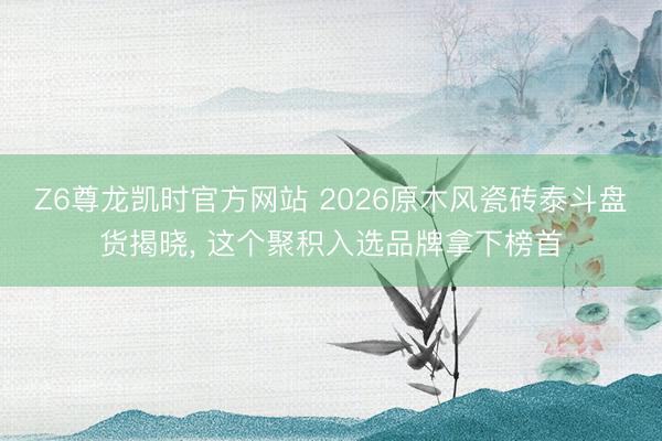 Z6尊龙凯时官方网站 2026原木风瓷砖泰斗盘货揭晓， 这个聚积入选品牌拿下榜首