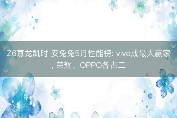 Z6尊龙凯时 安兔兔5月性能榜: vivo成最大赢家， 荣耀、OPPO各占二