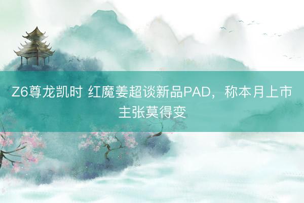 Z6尊龙凯时 红魔姜超谈新品PAD，称本月上市主张莫得变