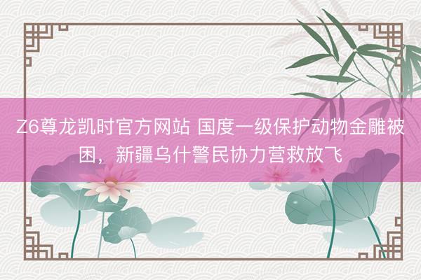 Z6尊龙凯时官方网站 国度一级保护动物金雕被困，新疆乌什警民协力营救放飞