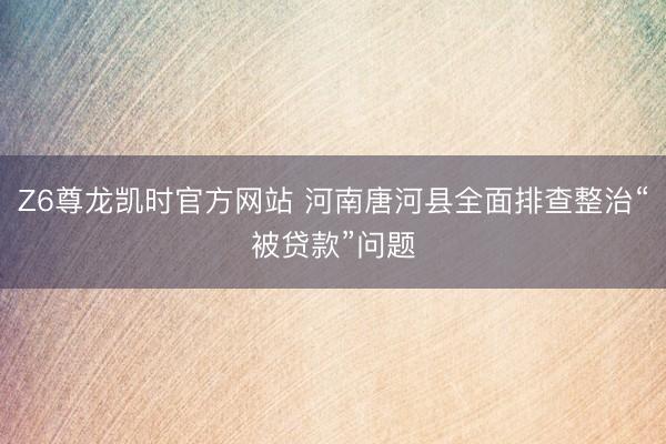Z6尊龙凯时官方网站 河南唐河县全面排查整治“被贷款”问题