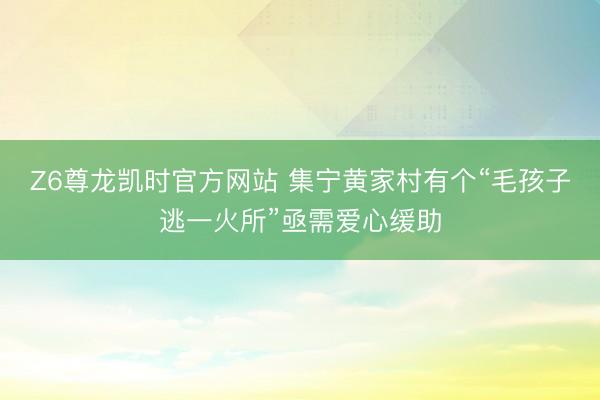 Z6尊龙凯时官方网站 集宁黄家村有个“毛孩子逃一火所”亟需爱心缓助