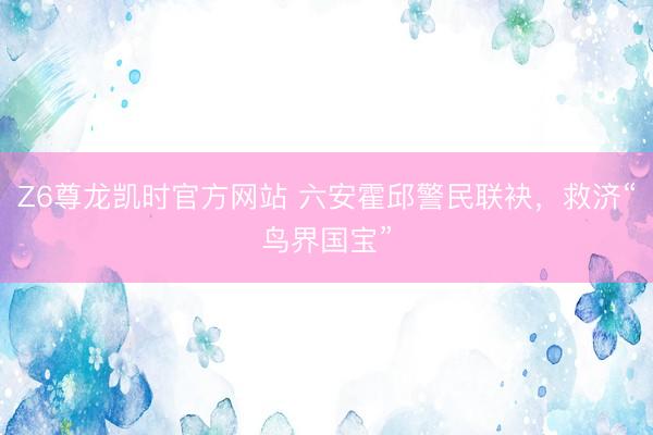 Z6尊龙凯时官方网站 六安霍邱警民联袂，救济“鸟界国宝”