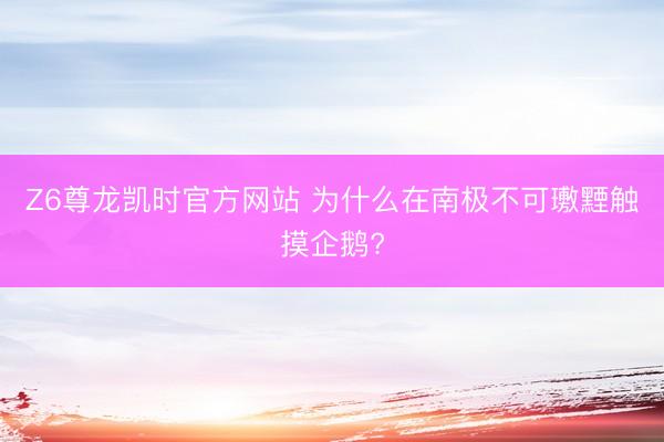 Z6尊龙凯时官方网站 为什么在南极不可璷黫触摸企鹅?