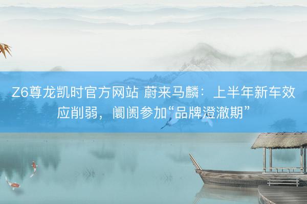 Z6尊龙凯时官方网站 蔚来马麟：上半年新车效应削弱，阛阓参加“品牌澄澈期”