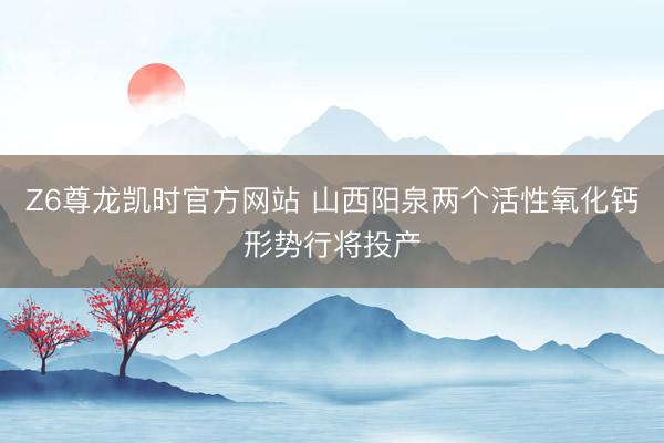 Z6尊龙凯时官方网站 山西阳泉两个活性氧化钙形势行将投产