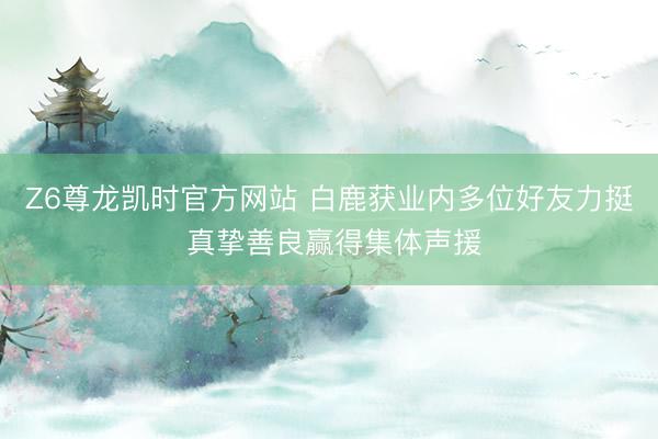 Z6尊龙凯时官方网站 白鹿获业内多位好友力挺 真挚善良赢得集体声援