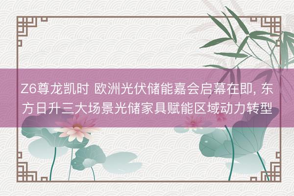 Z6尊龙凯时 欧洲光伏储能嘉会启幕在即， 东方日升三大场景光储家具赋能区域动力转型
