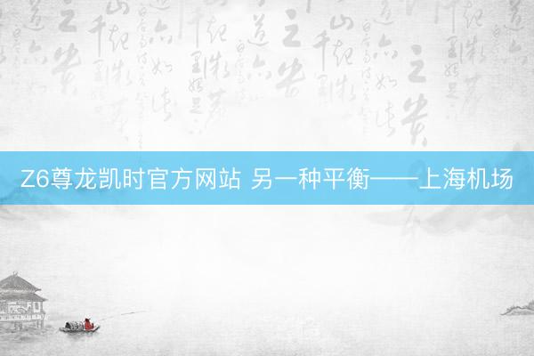 Z6尊龙凯时官方网站 另一种平衡——上海机场